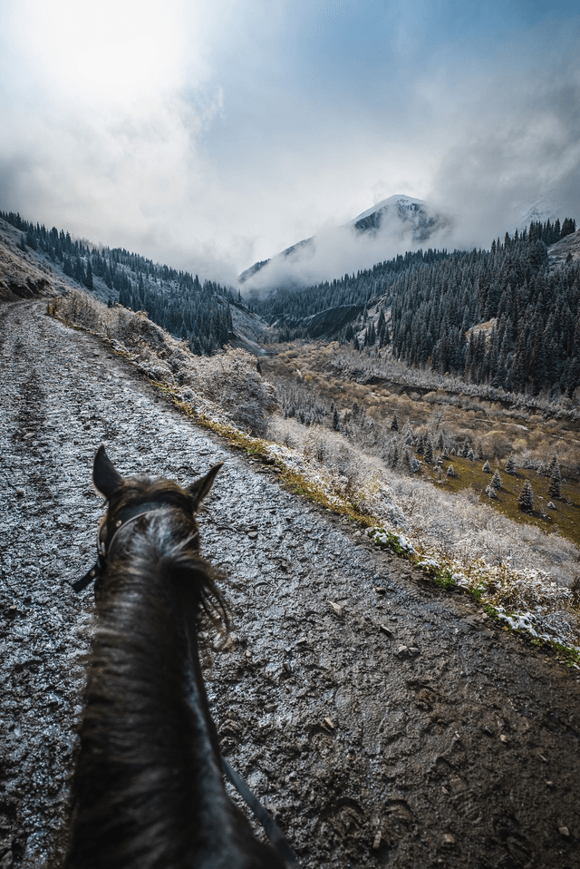 Kaindy Forest - Kazakhstan