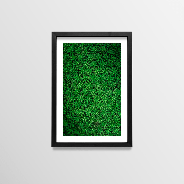 Pattern - Sao Tome