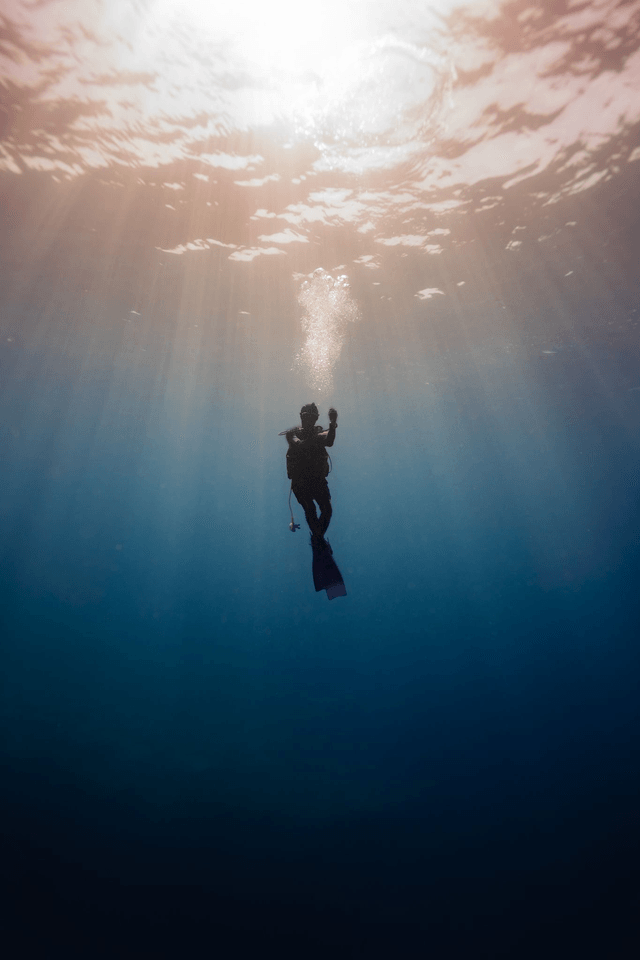 Dive - Thaïlande