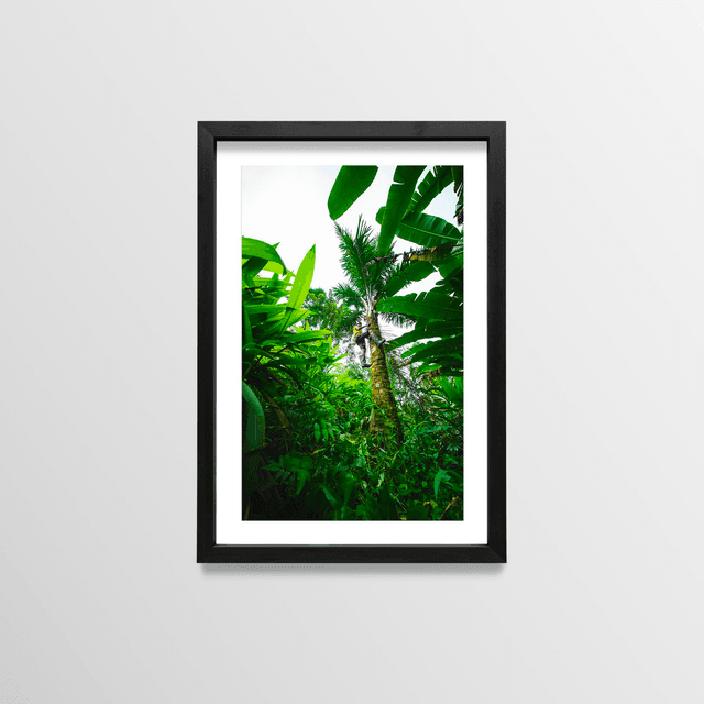 Vin de palme - Sao Tome