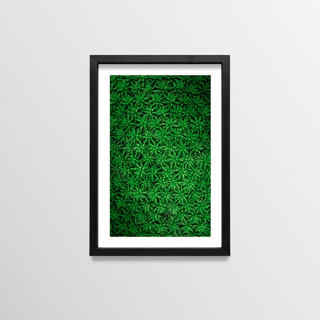 Pattern - Sao Tome